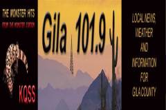 Gila 1019 Logo