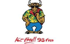 K-Bull 93 Logo
